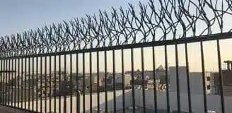 حفاظ شاخ گوزنی