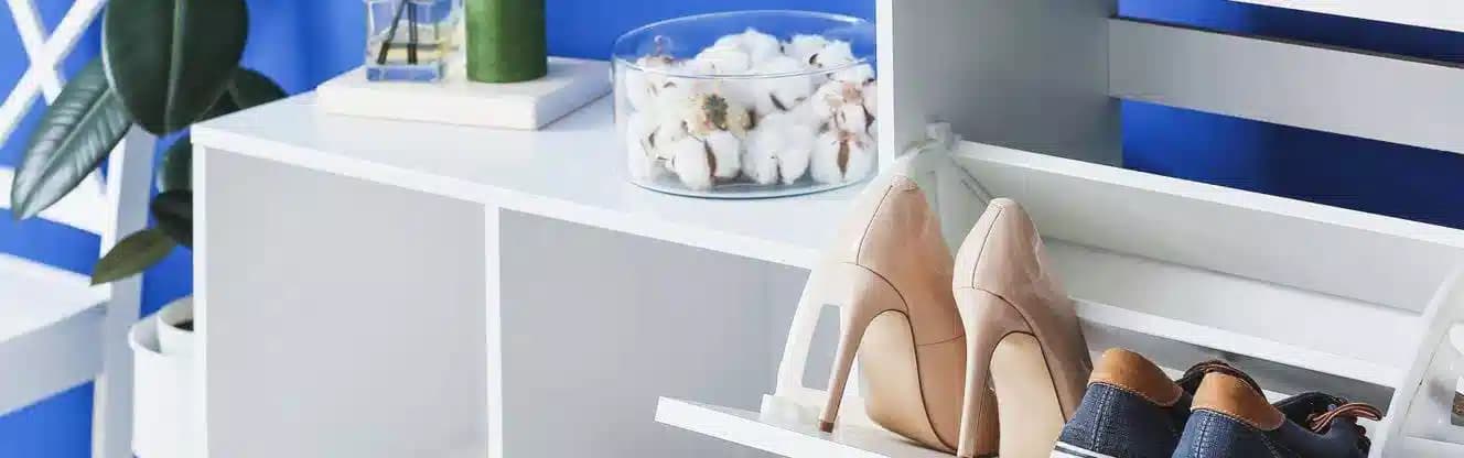 جاکفشی