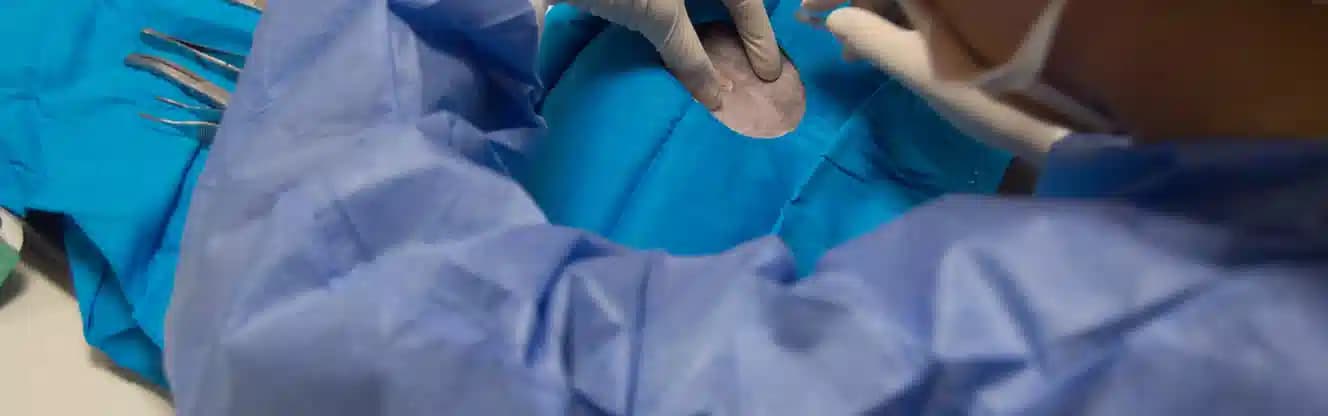 عقیم سازی حیوانات شیراز