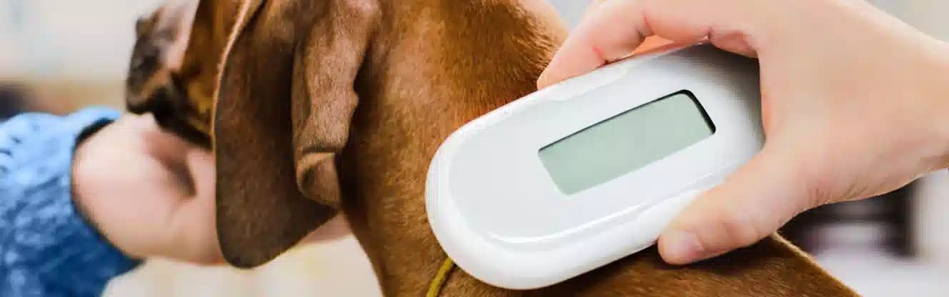 کاشت میکروچیپ شیراز