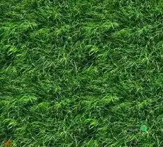 ایزوگام طرح چمن
