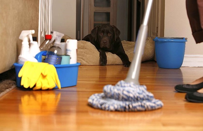 خدمات نظافتی منازل