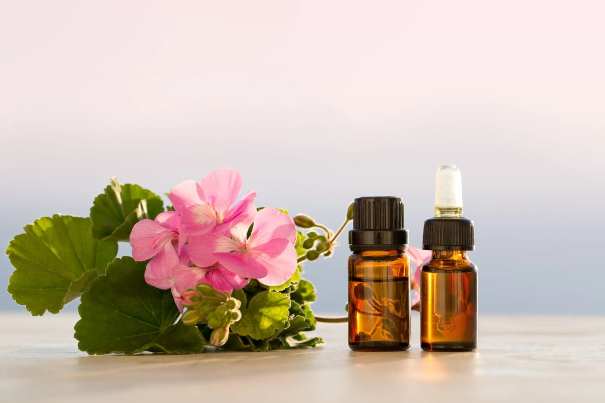 گیاهان معطر و اسانس‌های رایج برای دفع کک