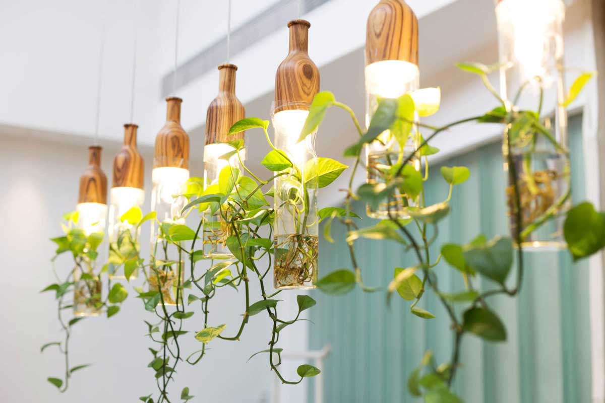 لامپ کم مصرف برای رشد گیاه
