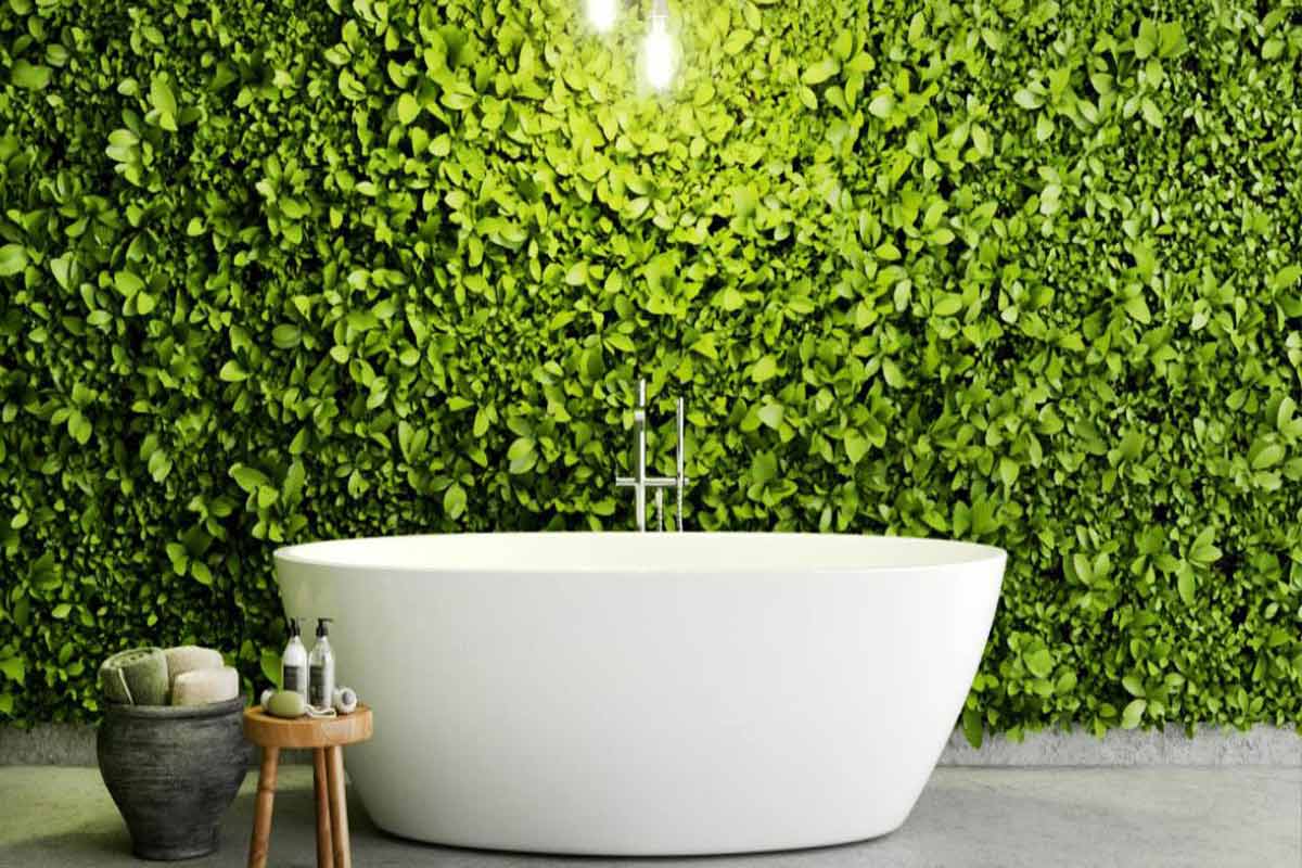 انواع دیوار سبز در طراحی داخلی