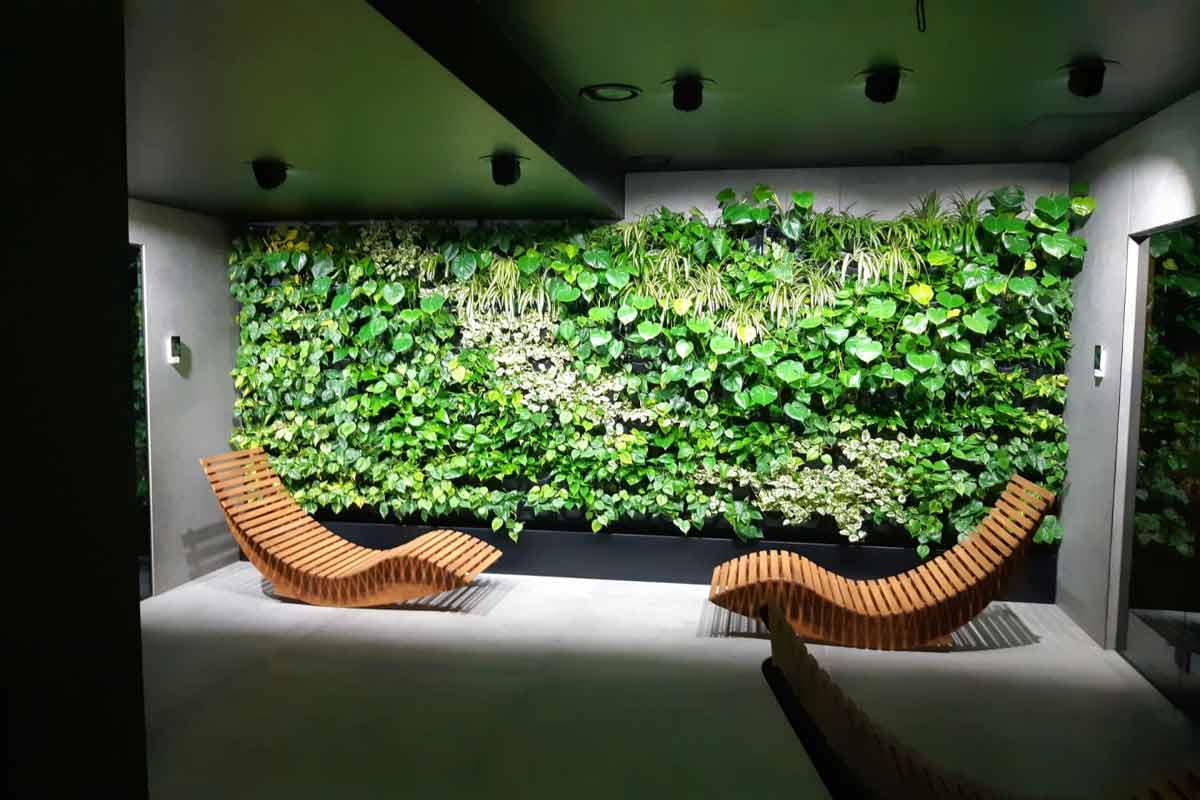 انواع دیوار سبز در منازل