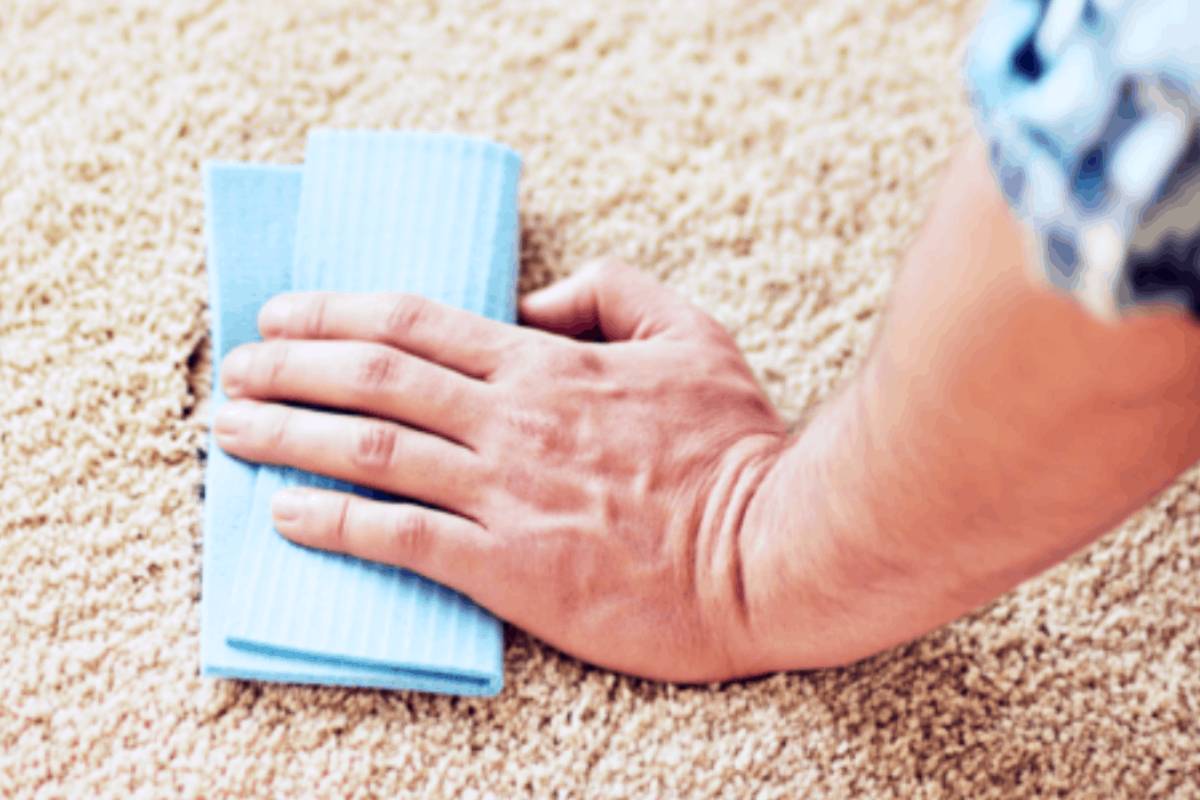 روش پاک کردن لکه وایتکس از روی فرش