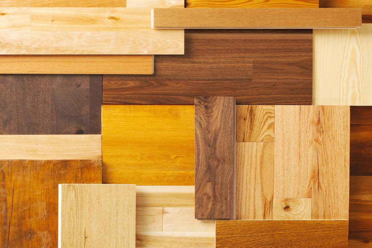 انواع چوب مورداستفاده در ساخت پارکت