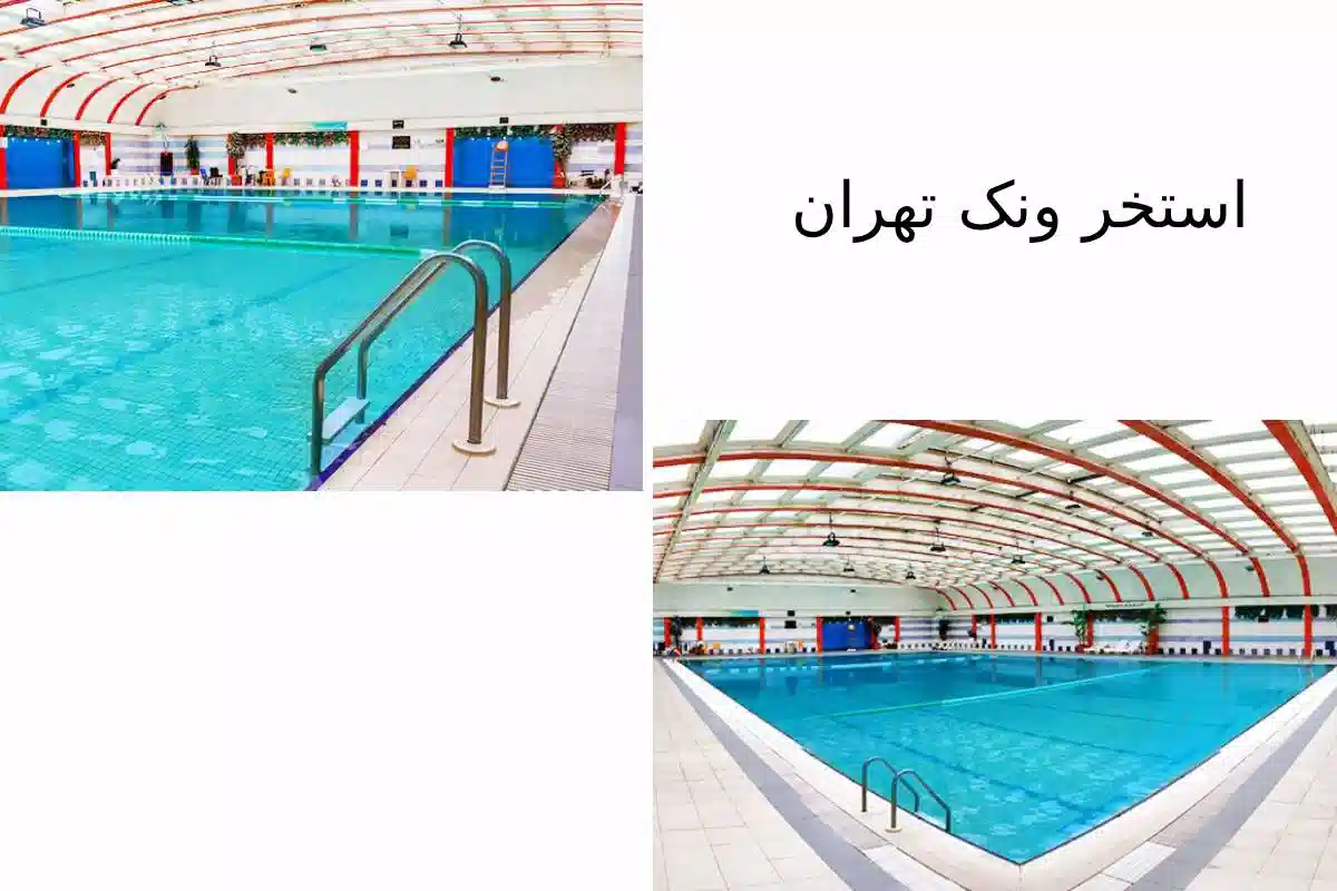 استخر ونک