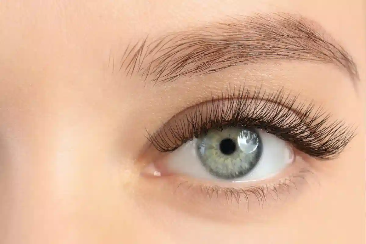مژه اسپایکی گربه ای