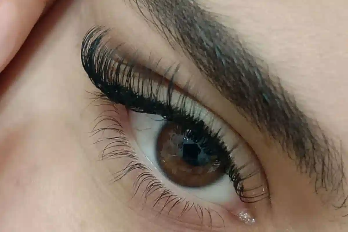 مژه گربه ای