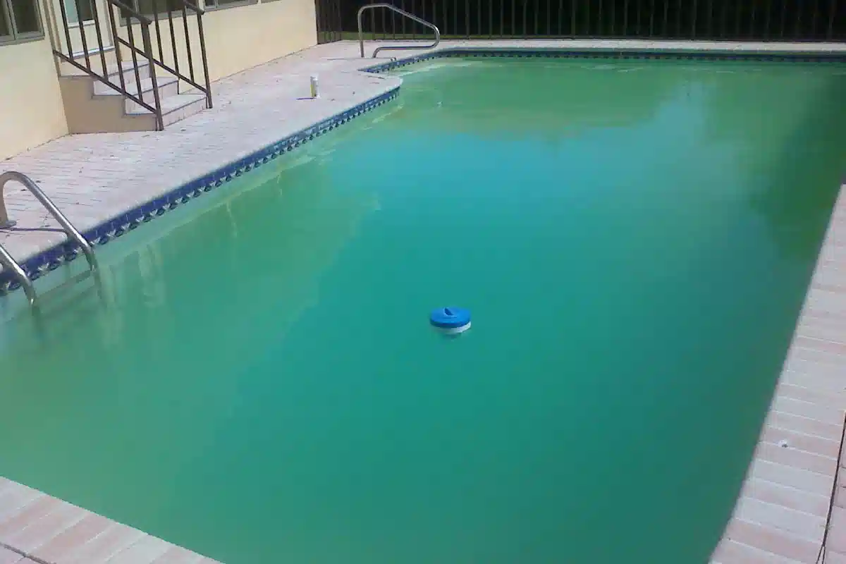 رفع کدری آب استخر