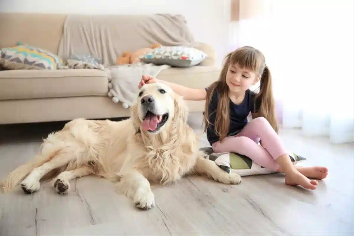بهترین سگ برای برای خانواده دارای کودک