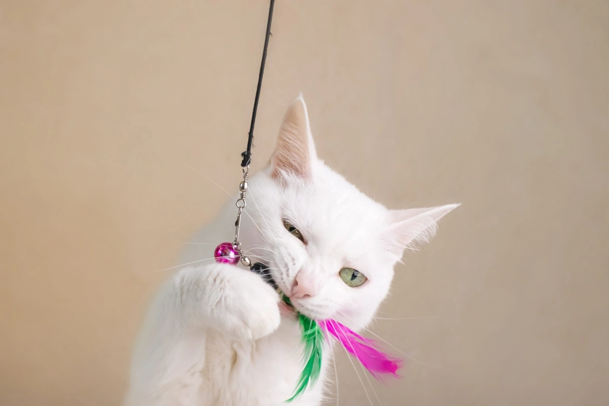 چوب بازی گربه؛ برای شبیه سازی شکار