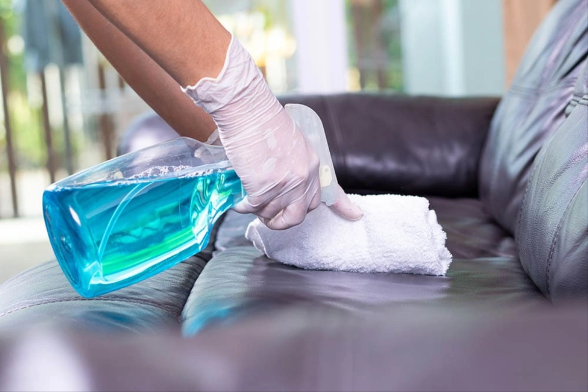 چگونه ادرار حیوان را از مبل پاک کنیم؟