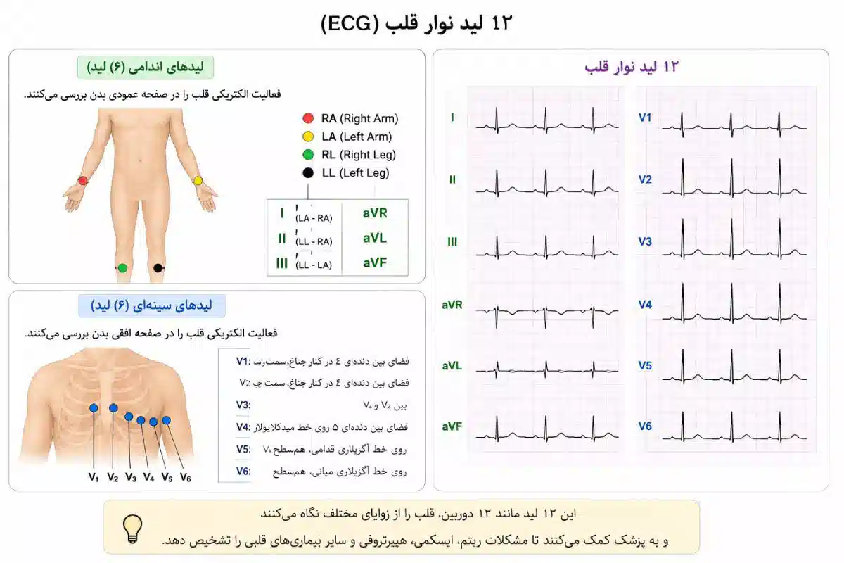 بررسی قلب از زوایای مختلف