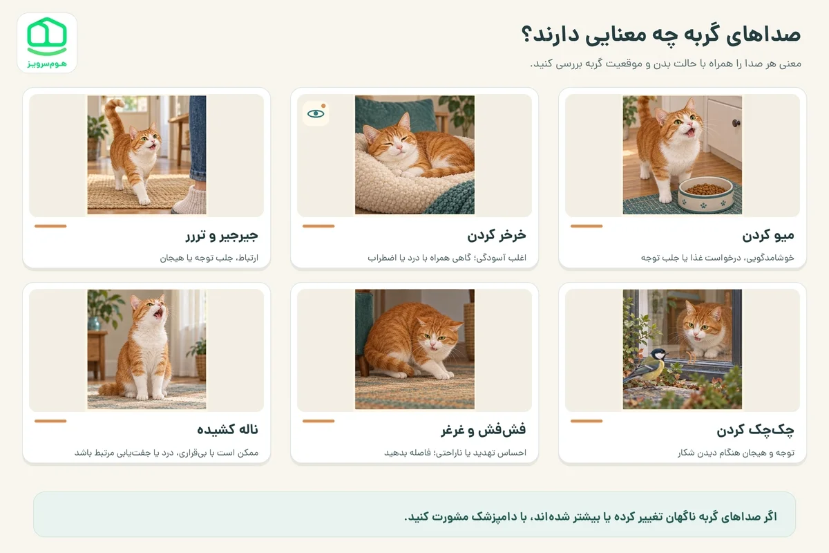 معنی صداهای گربه