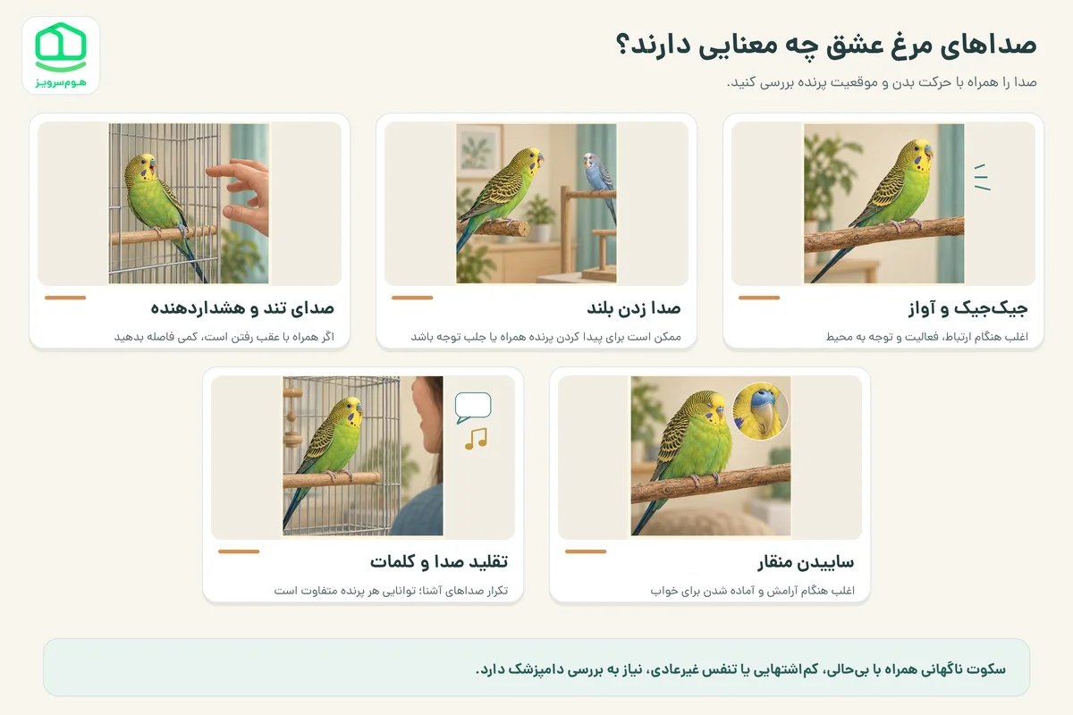 صداهای مرغ عشق چه معنایی دارند؟