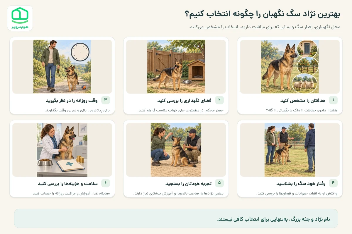 بهترین نژاد سگ نگهبان را چگونه انتخاب کنیم؟