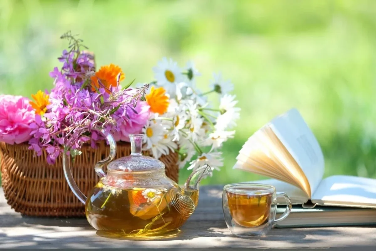 دمنوش بابونه برای سرماخوردگی
